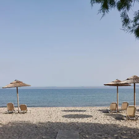 Atlantica Thalassa 4*